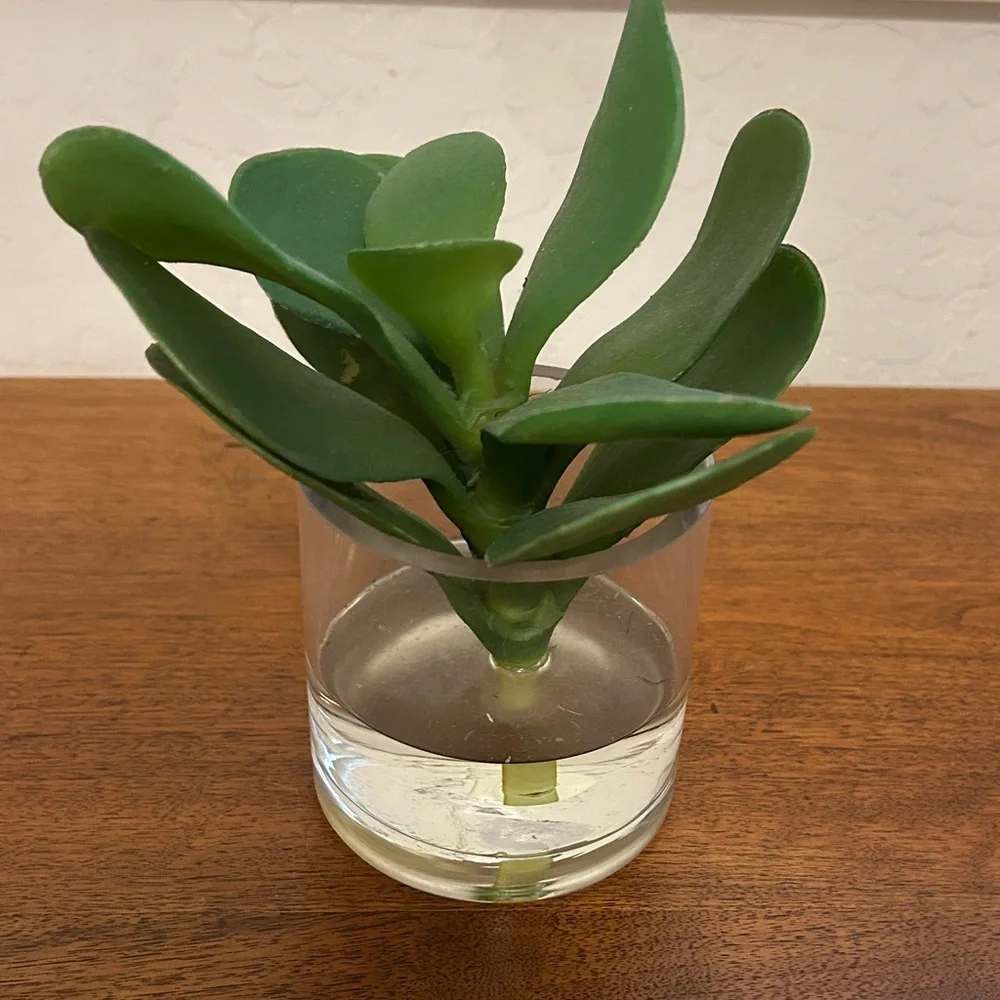 Green Artificial Plant in Clear Glass Vase
